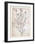 Dandelion2-Lula Bijoux-Framed Art Print