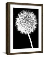 Dandelion-Jenny Kraft-Framed Art Print