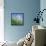 Dandelion-null-Framed Stretched Canvas displayed on a wall