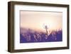 Dandelion-Andrushko Galyna-Framed Photographic Print