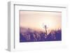 Dandelion-Andrushko Galyna-Framed Photographic Print