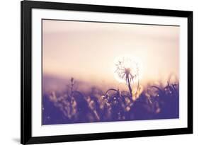 Dandelion-Andrushko Galyna-Framed Photographic Print