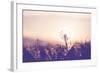 Dandelion-Andrushko Galyna-Framed Photographic Print