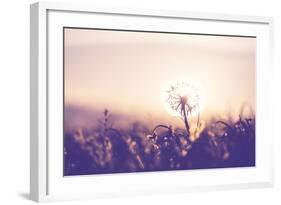 Dandelion-Andrushko Galyna-Framed Photographic Print