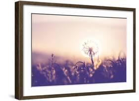 Dandelion-Andrushko Galyna-Framed Photographic Print