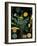 Dandelion-null-Framed Giclee Print