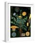 Dandelion-null-Framed Giclee Print