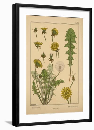 Dandelion-null-Framed Giclee Print