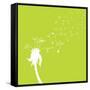 Dandelion-Hd Connelly-Framed Stretched Canvas
