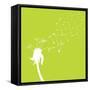 Dandelion-Hd Connelly-Framed Stretched Canvas