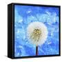 Dandelion-Ata Alishahi-Framed Stretched Canvas
