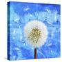 Dandelion-Ata Alishahi-Stretched Canvas