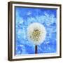 Dandelion-Ata Alishahi-Framed Giclee Print