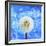 Dandelion-Ata Alishahi-Framed Giclee Print