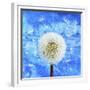 Dandelion-Ata Alishahi-Framed Giclee Print