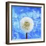 Dandelion-Ata Alishahi-Framed Giclee Print