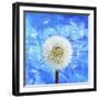 Dandelion-Ata Alishahi-Framed Giclee Print