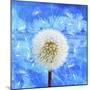 Dandelion-Ata Alishahi-Mounted Giclee Print