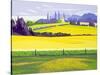 Dandelions and Rape, Finchingfield, 2003-Derek Crow-Stretched Canvas