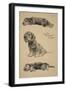 Dandie Dinmont Puppies, 1930, Just Among Friends, Aldin, Cecil Charles Windsor-Cecil Aldin-Framed Giclee Print