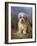 Dandie Dinmont Terrier-Lilian Cheviot-Framed Giclee Print