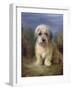 Dandie Dinmont Terrier-Lilian Cheviot-Framed Giclee Print