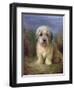 Dandie Dinmont Terrier-Lilian Cheviot-Framed Giclee Print