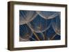 Dandilion Seeds against a Blue Background that Show it's Dainty Features-Alta Oosthuizen-Framed Photographic Print