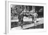 Dandy and Bearers, Darjeeling, India, Early 20th Century-null-Framed Giclee Print