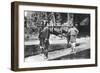 Dandy and Bearers, Darjeeling, India, Early 20th Century-null-Framed Giclee Print