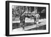 Dandy and Bearers, Darjeeling, India, Early 20th Century-null-Framed Giclee Print