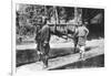 Dandy and Bearers, Darjeeling, India, Early 20th Century-null-Framed Giclee Print