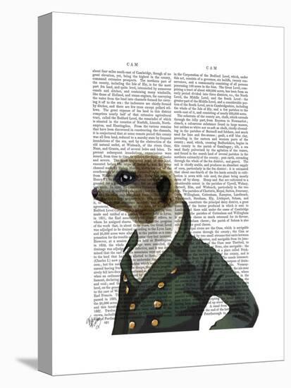 Dandy Meerkat Portrait-Fab Funky-Stretched Canvas