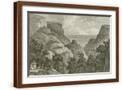 Brown Frame