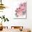 Danette Bouquet in Pink-Rosana Laiz Blursbyai-Giclee Print displayed on a wall