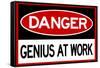 Danger Genius At Work Sign-null-Framed Stretched Canvas