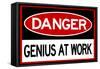 Danger Genius At Work-null-Framed Stretched Canvas