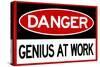 Danger Genius At Work-null-Stretched Canvas