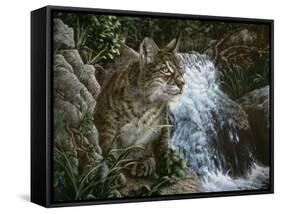 Danger in Paradise-Jenny Newland-Framed Stretched Canvas