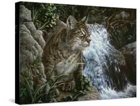 Danger in Paradise-Jenny Newland-Stretched Canvas