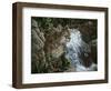 Danger in Paradise-Jenny Newland-Framed Giclee Print