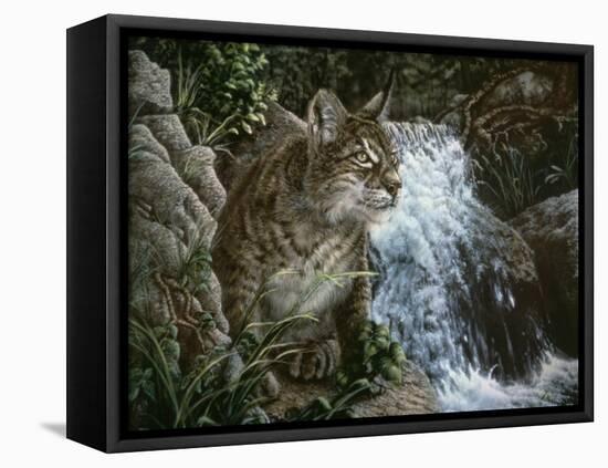 Danger in Paradise-Jenny Newland-Framed Stretched Canvas