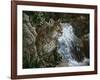 Danger in Paradise-Jenny Newland-Framed Giclee Print