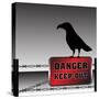 Danger Plate and Crow-oxlock-Stretched Canvas