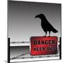 Danger Plate and Crow-oxlock-Mounted Art Print