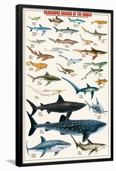 Dangerous Sharks-null-Framed Poster