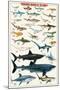 Dangerous Sharks-null-Mounted Poster