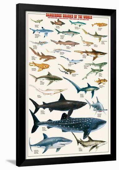 Dangerous Sharks-null-Framed Poster