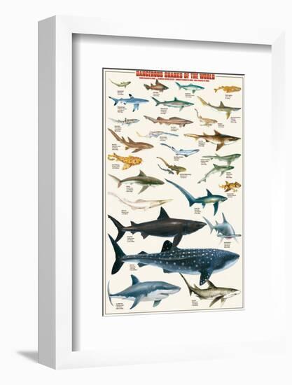 Dangerous Sharks-null-Framed Premium Giclee Print