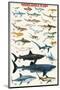 Dangerous Sharks-null-Mounted Premium Giclee Print